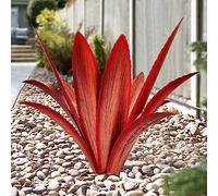 TOMBABY Enlarge Thickened Wind Resistant Metal Agave Garden Art Metal Plant Country Garden Sculpture Statue Outdoor Decoration Agave Metal Plant Courtyard Garden Lawn Ornament Gift (1, 12 Leaves red)