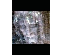 Tome 1 : Le Saint Suaire: Révélations extraordinaires sur les dernières reliques du Christ (Christianisme)