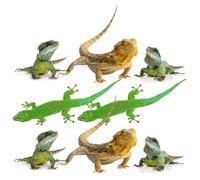 TOMETURE 2 Sets Assorted Color Lizard Car Stickers Adhesive Decals with 3D Design, Sun-Resistant and Scratch Cover for Car, Truck, Van Decoration