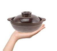 TOMETURE Clay Pot Hot Pot with Steam Vent Lid Multi-Functional for Home Cooking 19.5X19.5X9Cm