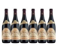 Tommasi Amarone della Valpolicella Classico 2019, Italian Red Wine, CASE of 6 x 750ml, 15% ABV