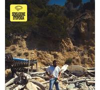 Tommaso Paradiso - Amazing Sensation (2023) LP Vinyl