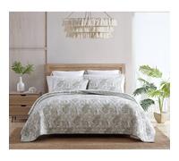 Tommy Bahama - Queen Quilt Set Reversible Cotton Bedding with Matching Shams Soft Coastal Bedspread Super Soft Bedding Set (Maui Palm Green Queen