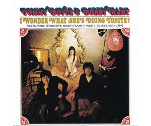 Tommy & Bobby Hart Boyce - I Wonder What She's Doing Toni