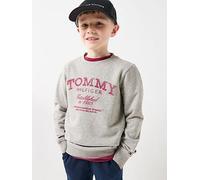 Tommy Hilfiger Boys Faded Print Sweatshirt, Grey, Size 14 Years Grey
