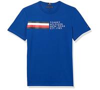 Tommy Hilfiger Boy's Global Stripe Graphic Tee S/S T-Shirt