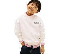 Tommy Hilfiger Boy's Monotype Graphic Sweatshirt KB0KB10255 Sweatshirts, WHITE (Ancient White), 16 Years