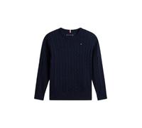 Tommy Hilfiger Boy's Pullover Sweater