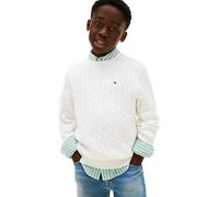 Tommy Hilfiger Boy's Sweaters