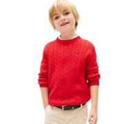 Tommy Hilfiger Boy's Sweaters