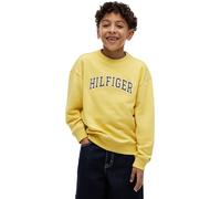 Tommy Hilfiger Boys' Sweatshirt Varsity with Round Neckline, Multicolor (Yellow Dahlia), 14 Years