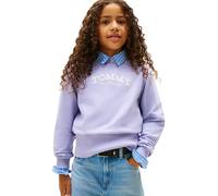 Tommy Hilfiger Girl's HIGH RIB HEM CREW NECK KG0KG08989 Pullover Sweatshirt, BLUE (Periwinkle Dusk), 14 Years