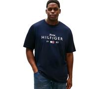 Tommy Hilfiger Men BT-Brand Love Big Hilfiger TEE-B MW0MW43005 S/S T-Shirt, Blue, 3XL_Plus
