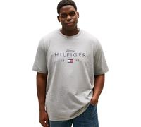 Tommy Hilfiger Men BT-Brand Love Big Hilfiger TEE-B MW0MW43005 S/S T-Shirt, Grey, 5XL_Plus