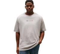 Tommy Hilfiger Men BT-Brand Love Small Center TEE-B MW0MW43007 S/S T-Shirt, Grey, 4XL_Plus