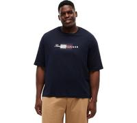 Tommy Hilfiger Men's Bt-Script Flag Tee-B MW0MW45120 S/S T-Shirt, Blue (Desert Sky), 3XL_Plus
