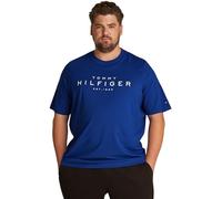 Tommy Hilfiger Men's Short Sleeve Round Neck T-Shirt, Blue (Wedge Blue), 3XL