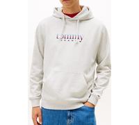 Tommy Hilfiger Regular Entry Dna Pullover Hoodie Ice Grey Heather size S | Hoodies Outlet | Men | Gray S