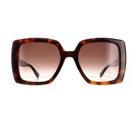 Tommy Hilfiger TH 1894/S Sunglasses Havana / Brown Gradient