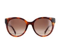 Tommy Hilfiger TH 1885/S 05L HAVANA 54/20/140 WOMAN Sunglasses