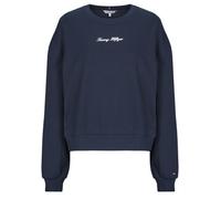 Tommy Hilfiger Classic Script Terry Sweatshirt Blue M Women