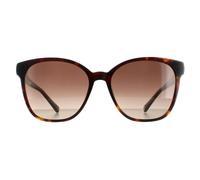 Tommy Hilfiger Sunglasses TH 1811/S 086 HA Havana Brown Gradient