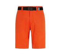Tommy Jeans Men's TJM Ethan Worker Short, Horizon, 29W