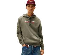 Tommy Jeans Men's TJM Reg DNA Hoodie Ext Dm0Dm22113 Pullover Sweatshirt, Green (Pewter Green), M