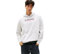 Tommy Jeans Men's TJM Reg DNA Hoodie Ext Dm0Dm22113 Pullover Sweatshirt, Grey (Lt Grey HTR), XL