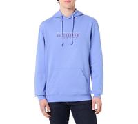 Tommy Jeans Men's TJM Reg Entry DNA Play Hood Dm0Dm22642 Pullover Hoodie, Blue (Light Horizon Blue), L