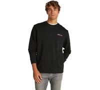 Tommy Jeans Mens Tjm Reg Entry Graphic Crew Ext Dm0dm20849 Pullover Sweatshirt, Black (Black), L UK