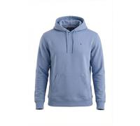 Tommy Jeans Men's TJM REG S FLAG HOODIE EXT DM0DM20742 Pullover Hoodie, BLUE (Light Horizon Blue), L