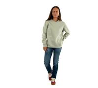 Tommy Jeans Womens Tjw Reg Flag Crew Dw0dw19959 Pullover Sweatshirt, Green (Misty Sage), XS UK