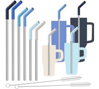 Tomorotec 6-Pack Reusable Stainless-Steel Straw with Silicone Tip 3 Sizes (Ocean Gradient)