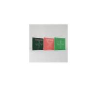 TOMORROW X TOGETHER (TXT): THE NAME CHAPTER: TEMPTATION - CD BRAND NEW