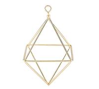 Tomotato Air Plant Holder, Modern Geometric Wall Hanging Planter with Metal Hanger and Display Stand for Air Plants, 6 x 6 x 9cm, Iron Wire Home Decor for Indoor Plant Enthusiasts