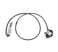 Tomotato Rear Brake Assembly Master Cylinder Caliper, High Strength Steel Alloy Hydraulic Brake System with Brake Pad 1.55m Hose Compatible for ATV Quad Go Kart Kart Mini Bike