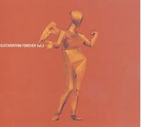 Tomoyasu Hotei - Guitarhythm Forever Vol. 2