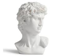 Tomresina David Head Sculpture, Classical Art 6 Inch Resin Statue, Greek Bust of David, Roman Mythology, Ideal for Home Decor and Gifting - White