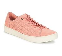 Toms Shoes (Trainers) LENOX in Pink 4