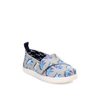 TOMS Tiny Boy's Classic Alpargata Loafer Flat, Drizzle Grey Glow in The Dark Great White Shark, 3 UK