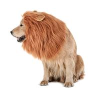 TOMSENN Lion Mane for Dogs - Realistic & Funny Lion Wig for Medium to Large Dogs
