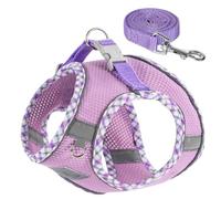 TomteNisse Dog Harness and Leash Set - No Pull Soft Breathable Small Dog Harness, Adjustable Reflective Step in Vest for Puppy, Kitten, Cats