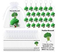 Tondiamo 24 Set Positive Keychains Emotional Encourage Support Gift with Funny Card Graduation Employee Appreciation Gift, Multi, as shown