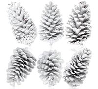 Tondiamo 6 Pcs Pine Cones for Crafts Unscented Natural Pinecones Crafts White Pine Cone Ornaments for Holiday Crafts DIY Wreath Vase Filler Home Wedding Decoration (5-6 Inch)