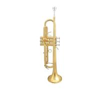 Tone Trumpet In B Flat For Beginners And Adult Examination Universal Instrument Lacquer Gold Brass Instrument