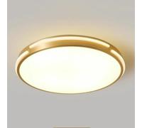 TONFON Minimalist Copper Ceiling Light Gold LED Dimming Ceiling Lamp