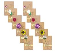 TONGIHS 12 Pcs Dried Flower Paper Envelope, DIY Dried Flower Greeting Card, Decorated Post Cards, for Birthday Wedding Anniversary Party Various Festivals (6 Styles)