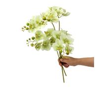 TONGMAN 18" Artificial Silk Phalaenopsis Flowers 2 Bundles Artificial Orchid Flowers Stem Plants in White Fake Butterfly Phalaenopsis Flowers for Home Wedding Party Décor (Green)