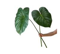 TONGMAN 2 Pack Artificial Plants Palm Tree Leaves Artificial Plants Tropical Leaves Tropical Party Decorations for Vase Home Wedding Decorations, 27", (Green 2PCS)